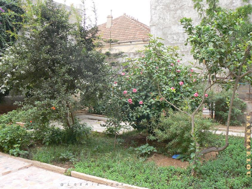 6 rue gl. Ferradou le jardin 01-Gambetta .jpg